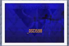 DSC1598