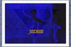 DSC1600