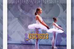 DSC1603