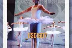 DSC1607