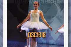 DSC1618