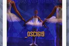 DSC1619
