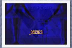 DSC1621