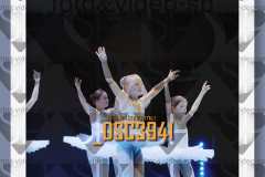 DSC3941