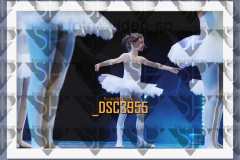 DSC3955