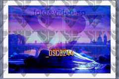 DSC0244