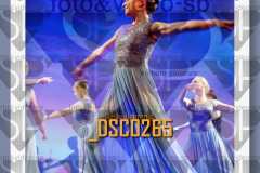 DSC0265