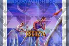 DSC0274