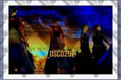 DSC0292