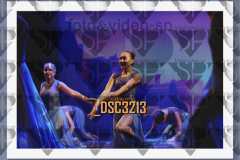 DSC3213
