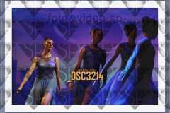 DSC3214