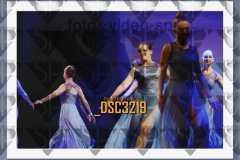 DSC3219